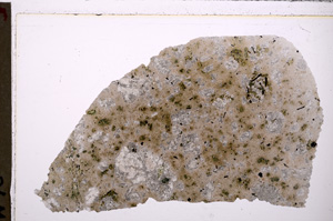 Plane Polarized, E26828