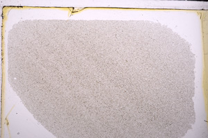 Plane Polarized, E26831