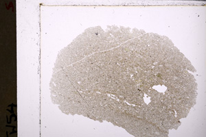 Plane Polarized, E26834