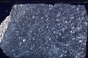 Cross Polarized, E26872