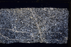 Cross Polarized, E26876