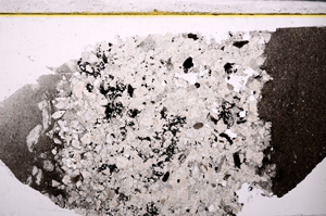 Plane Polarized, E26879