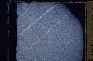 Cross Polarized, E26884