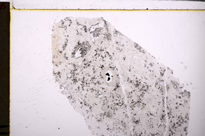 Plane Polarized, E26901