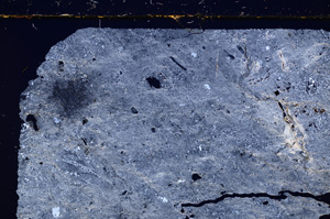 Cross Polarized, E26942