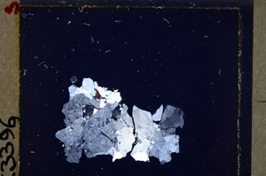 Cross Polarized, E26997