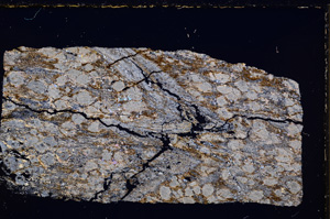 Cross Polarized, E27110