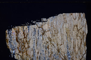 Cross Polarized, E27111