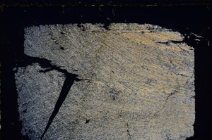 Cross Polarized, E27118