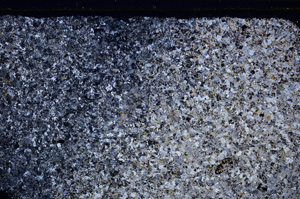 Cross Polarized, E27120
