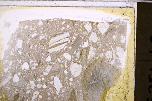 Plane Polarized, E27123