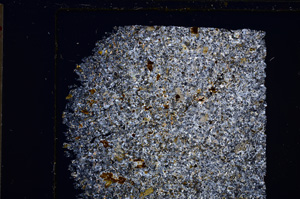 Cross Polarized, E27126