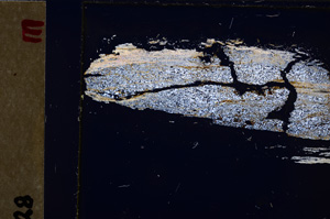 Cross Polarized, E27135