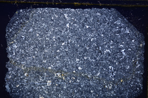 Cross Polarized, E27140