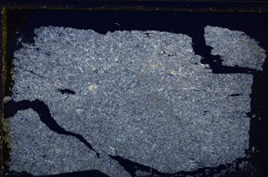 Cross Polarized, E27141
