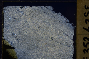Cross Polarized, E27142