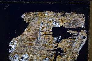 Cross Polarized, E27144