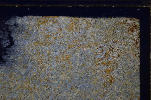 Cross Polarized, E27147