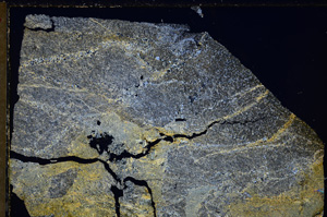 Cross Polarized, E27148