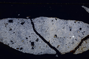 Cross Polarized, E27151