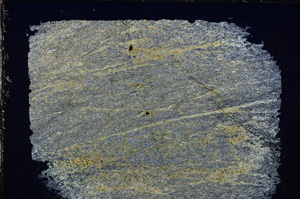 Cross Polarized, E27154
