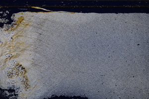 Cross Polarized, E27159