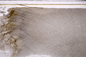 Plane Polarized, E27159