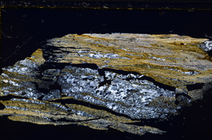 Cross Polarized, E27160