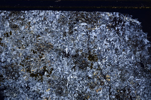 Cross Polarized, E27168