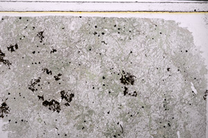 Plane Polarized, E27168