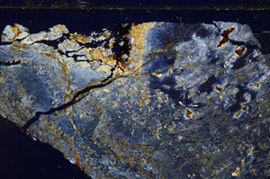 Cross Polarized, E27169