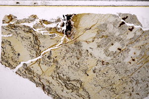 Plane Polarized, E27169