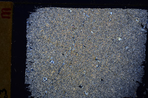 Cross Polarized, E27170