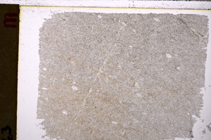 Plane Polarized, E27170