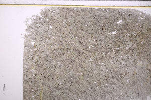 Plane Polarized, E27173