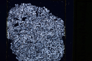 Cross Polarized, E27182