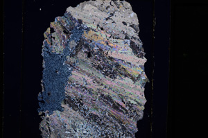 Cross Polarized, E27183