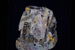 Cross Polarized, E27184