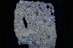 Cross Polarized, E27185