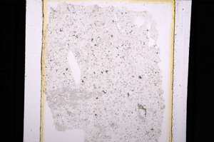 Plane Polarized, E27185