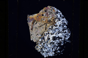 Cross Polarized, E27186