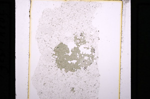 Plane Polarized, E27187