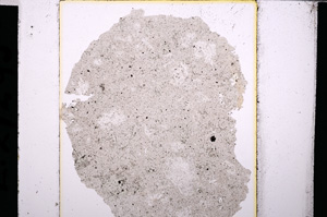 Plane Polarized, E27295