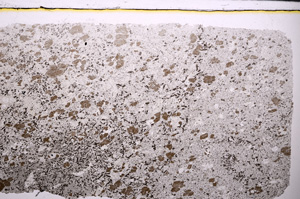 Plane Polarized, E27327