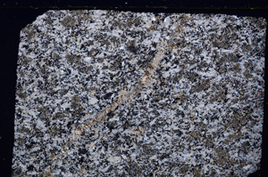 Cross Polarized, E27338