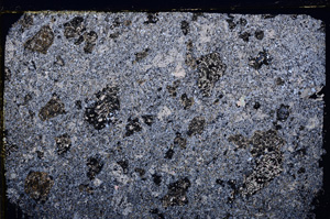 Cross Polarized, E27343