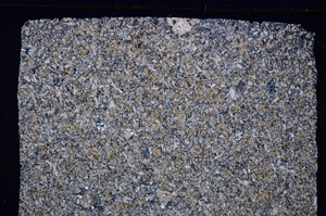 Cross Polarized, E27344