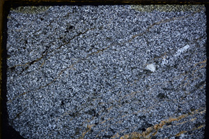 Cross Polarized, E27378