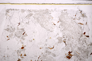 Plane Polarized, E27379