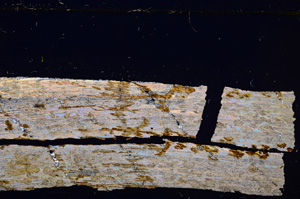 Cross Polarized, E27382